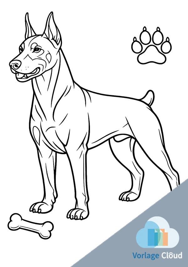 dobermann ausmailbild zum ausdrucken