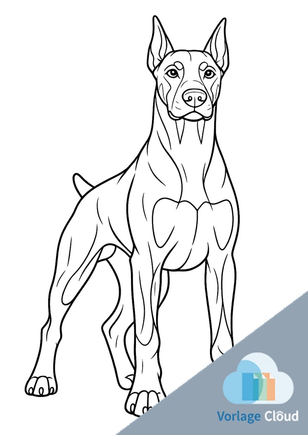 dobermann ausmalbilder