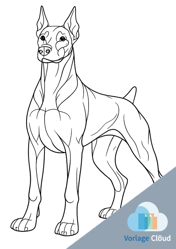 dobermann zum ausdrucken