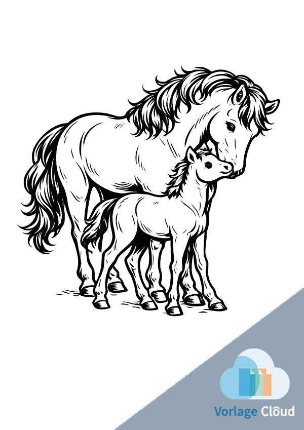 ausmalbild pferd mit fohlen