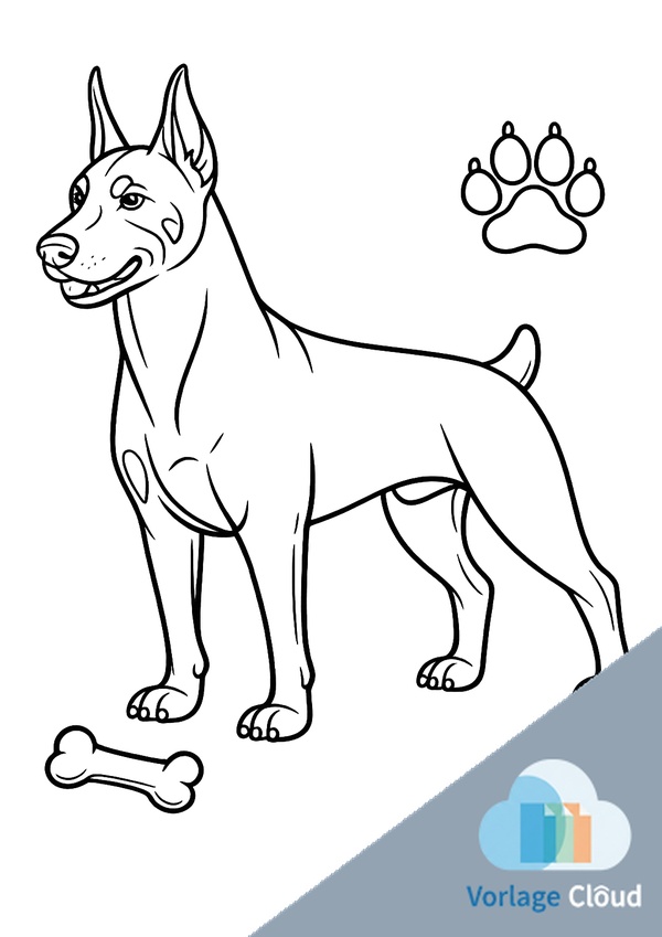 bilder von dobermann zum ausmalen