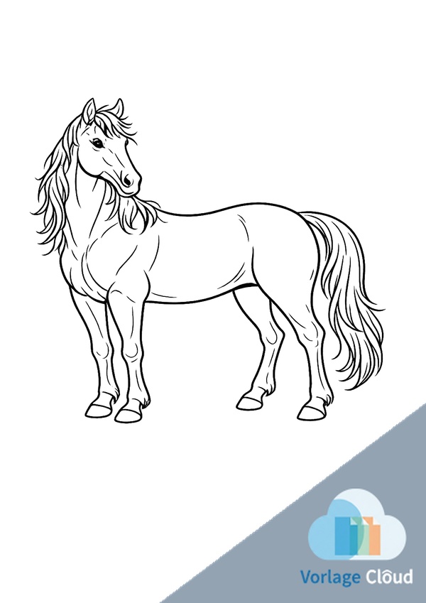 pferd zum ausmalen