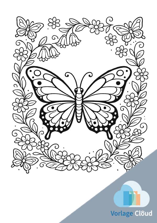 schmetterling ausmalbild gratis