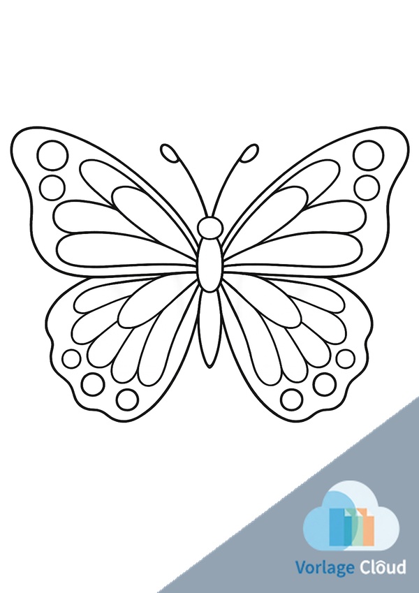 schmetterling ausmalbild