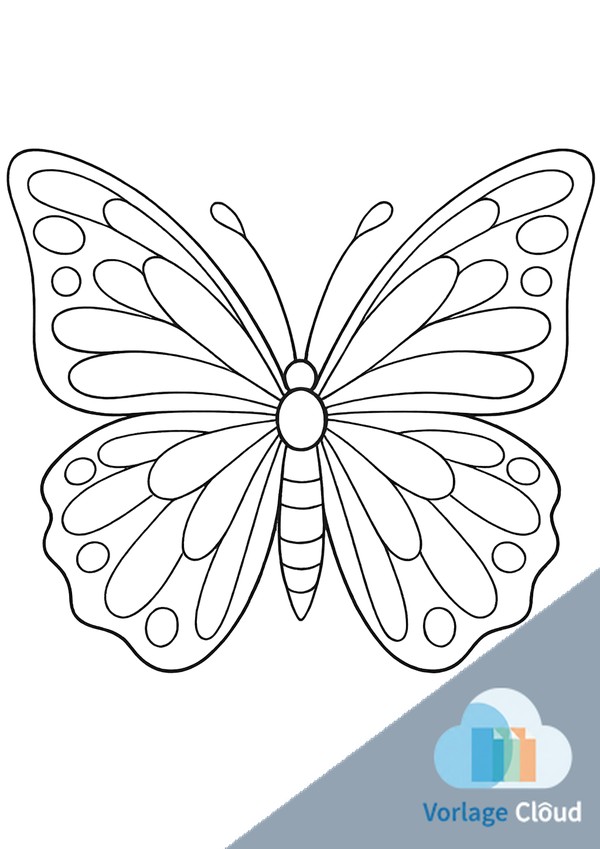 schmetterling ausmalbilder