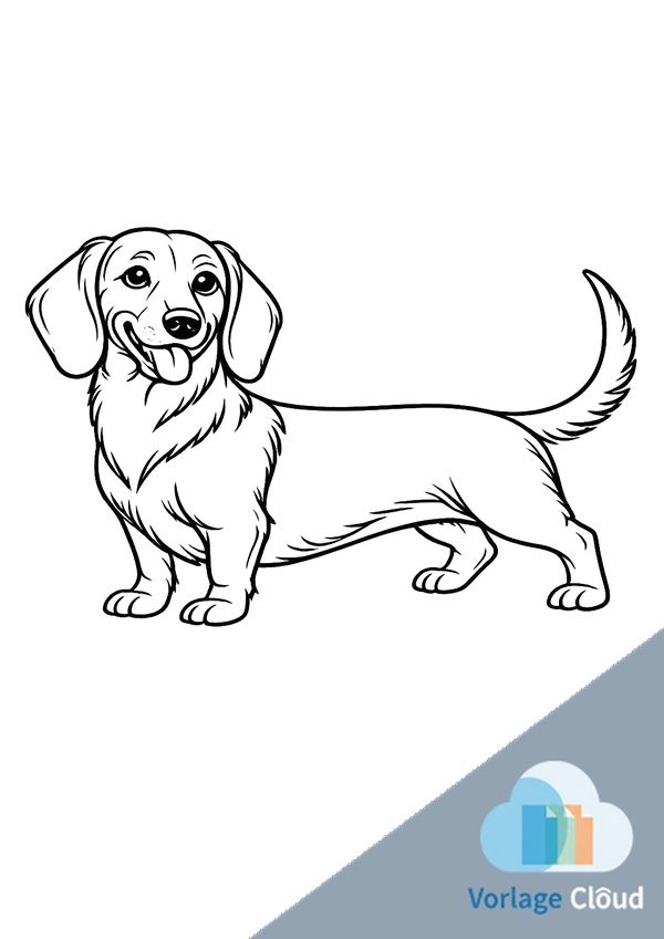 teckel ausmalbilder zum ausdrucken