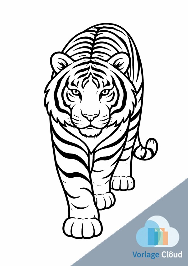 tiger ausmalbilder zum ausdrucken