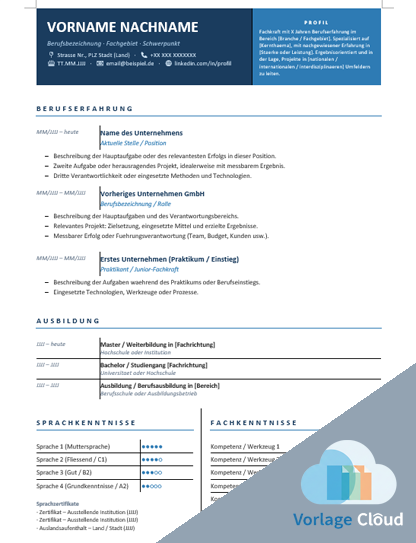 Lebenslauf Vorlage Kostenlos
