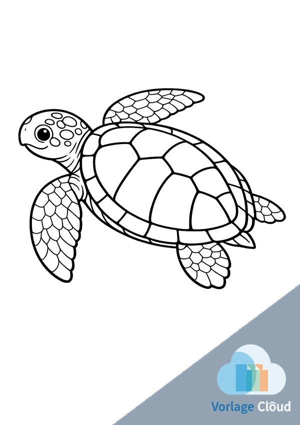 bilder von schildkröten kostenlos