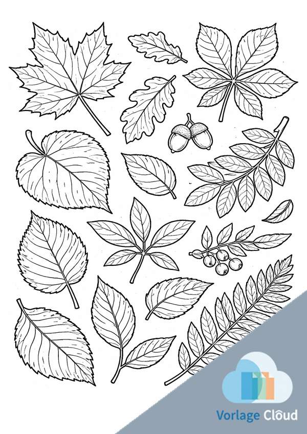 herbstblatt ausmalen