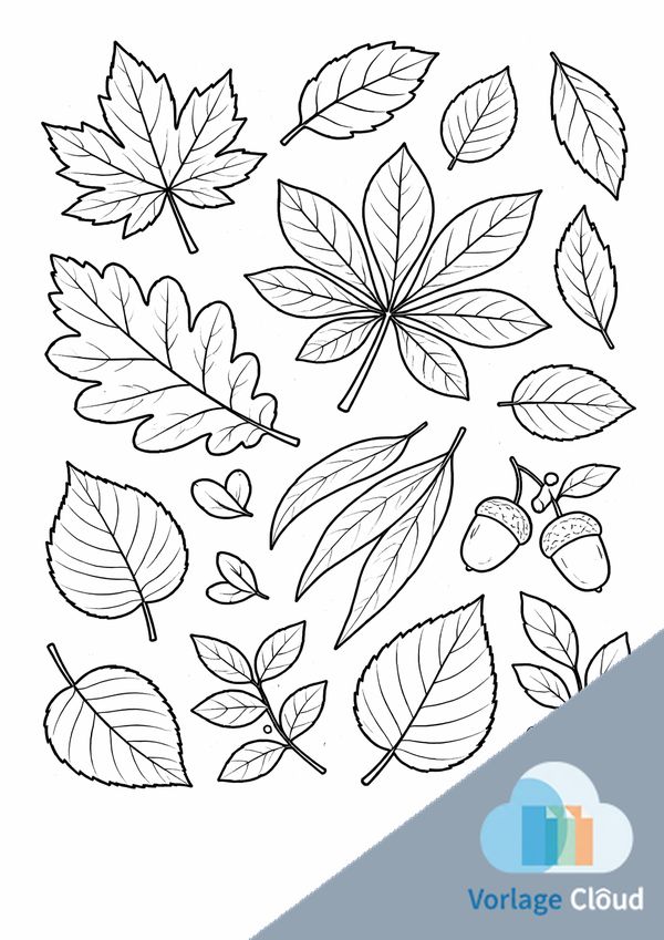 herbstblatt zum ausmalen