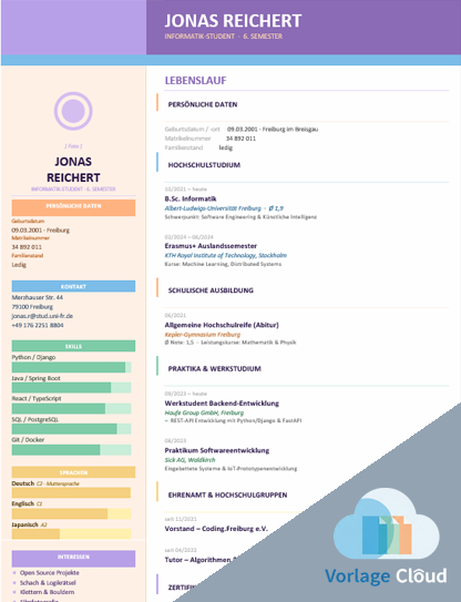 lebenslauf abgebrochenes studium word