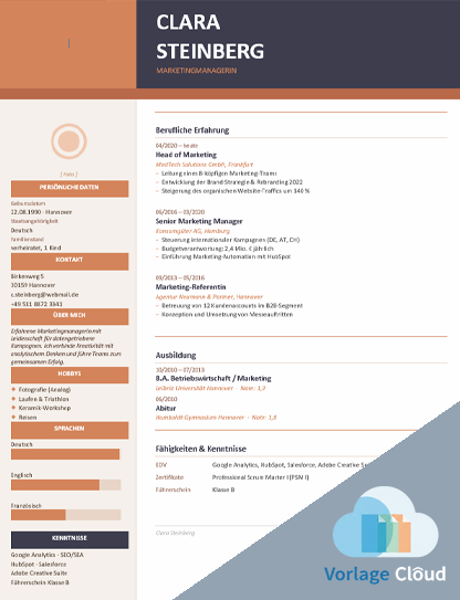 lebenslauf abgebrochenes studium