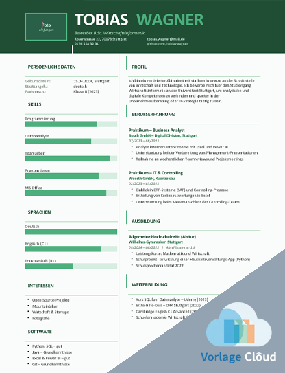 lebenslauf universität word vorlage