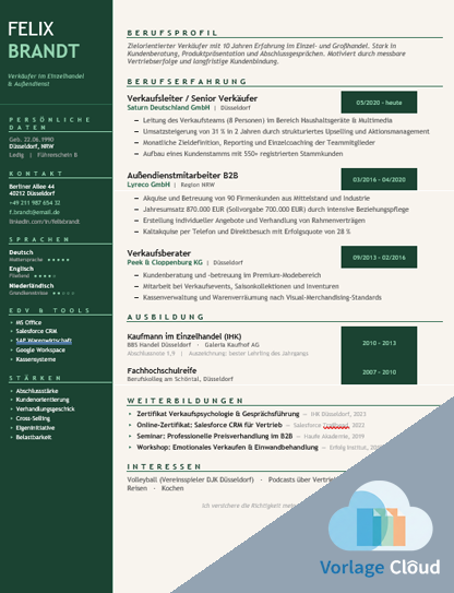 Lebenslauf Verkaeufer Vorlage Kostenlos