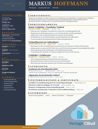 Lebenslauf Verkaeufer Word Vorlage
