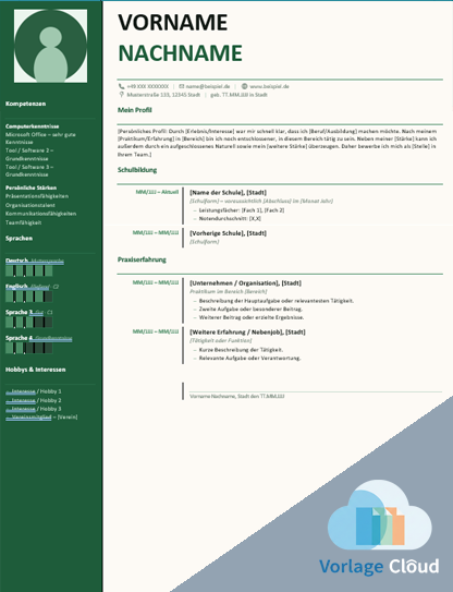 lebenslauf vorlage für schüler kostenlos