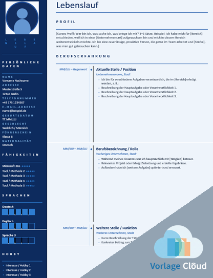 lebenslauf vorlage word