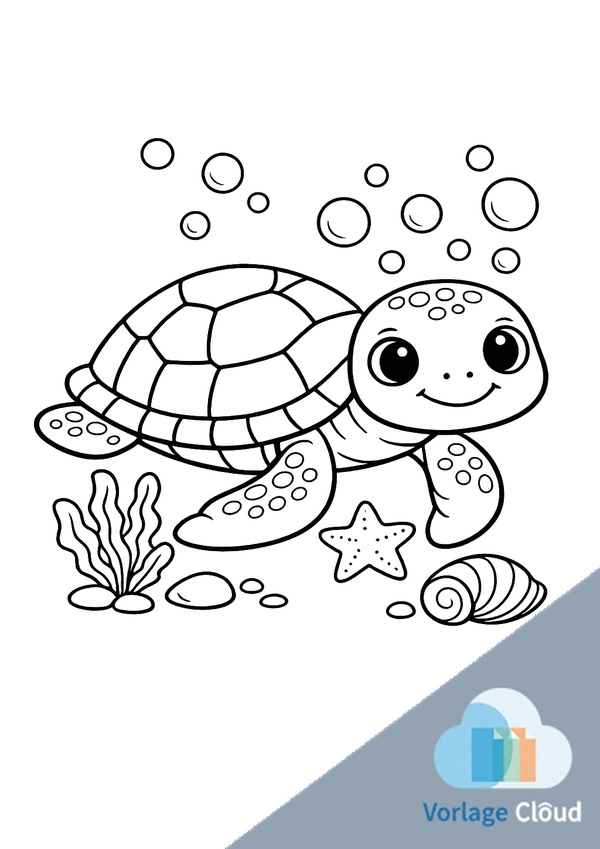schildkröte ausmalbild kostenlos