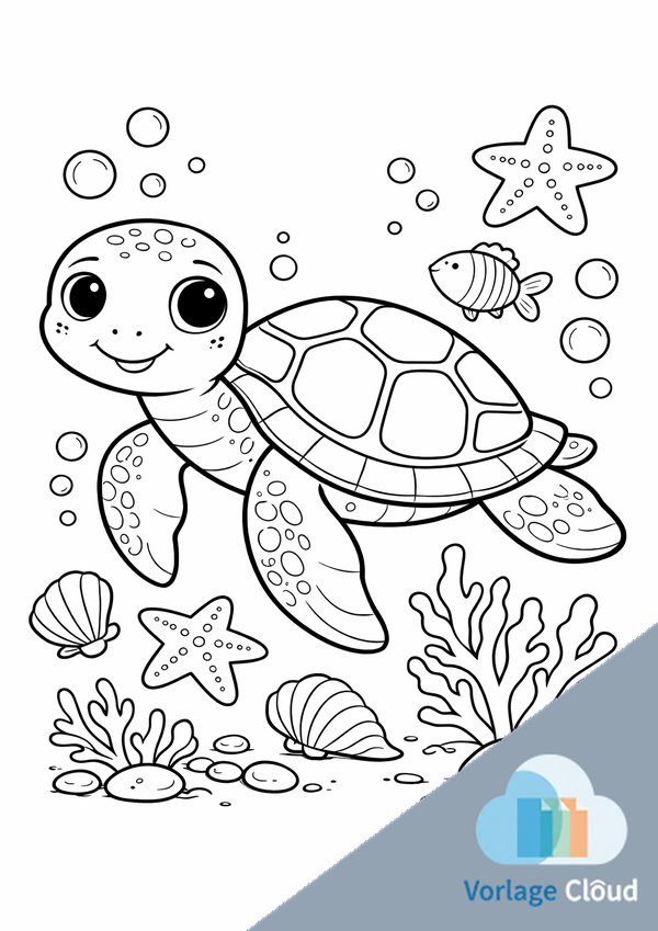 schildkröte malvorlage pdf