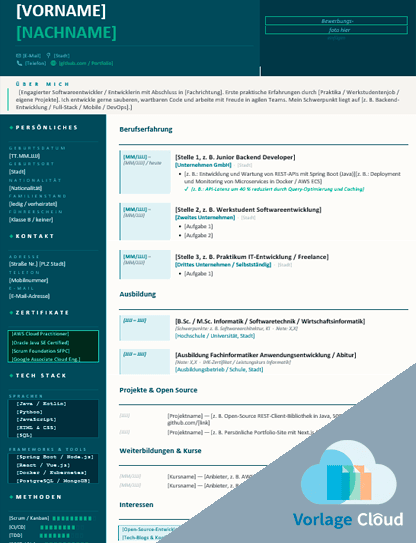 softwareentwickler lebenslauf gratis