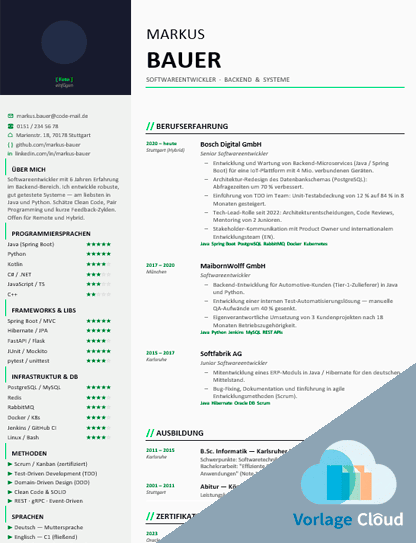 softwareentwickler lebenslauf kostenlos