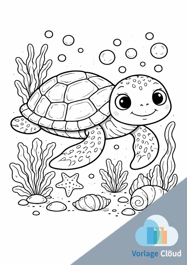 vorlage schildkröte zeichnen