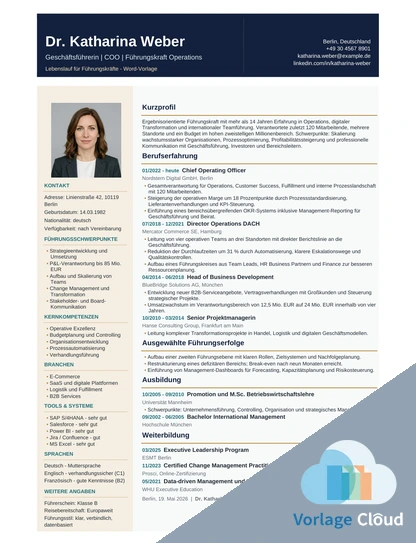lebenslauf manager